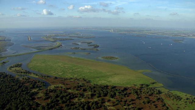 Wilder Rhein - Von der Nordsee bis zur Lorelei