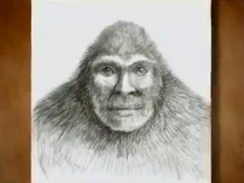 Bigfoot