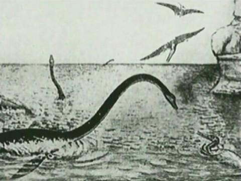 Lake Monsters