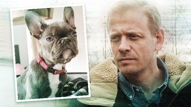 Den grænseløse hundehandel