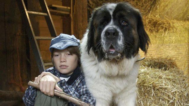 Hundeherz