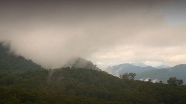 Western Ghats: Monsoon Mountains