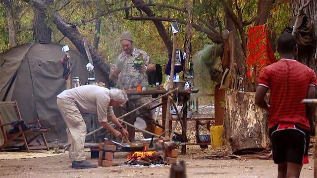 En bavian i Zambia