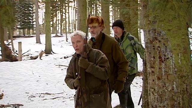 Et vildsvin på Djursland