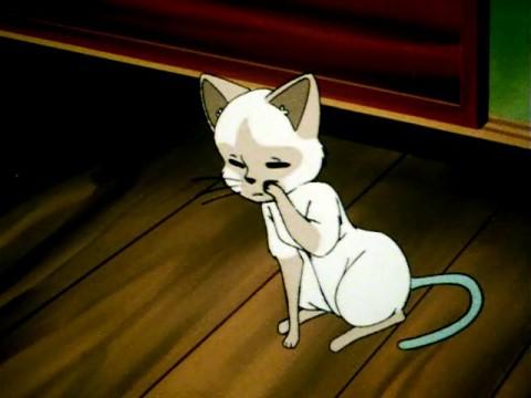 猫大人和胡须