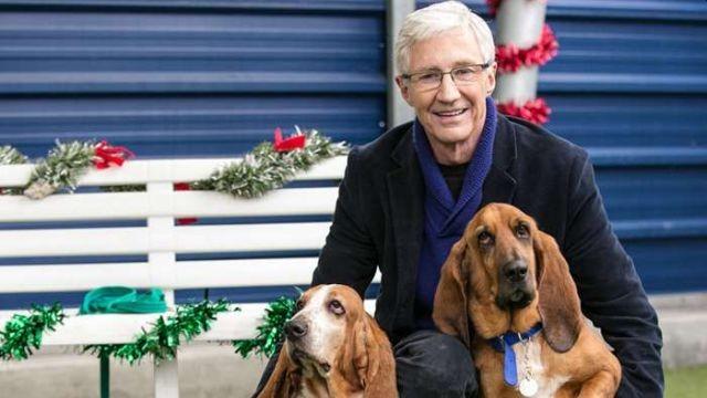 For the Love of Dogs At Christmas 2018