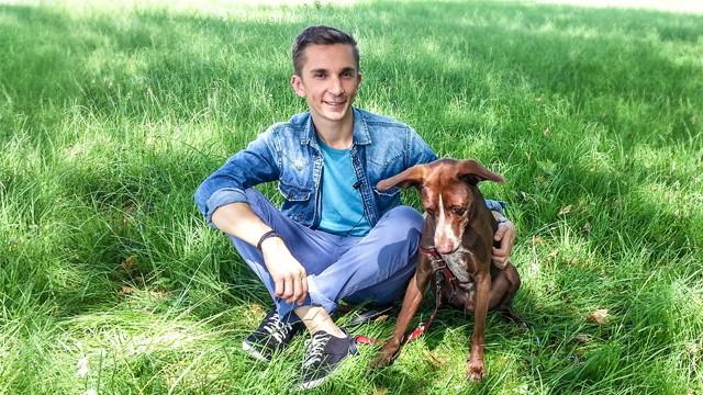 Wenn Hunde gefährlich werden