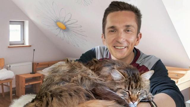 Katzen