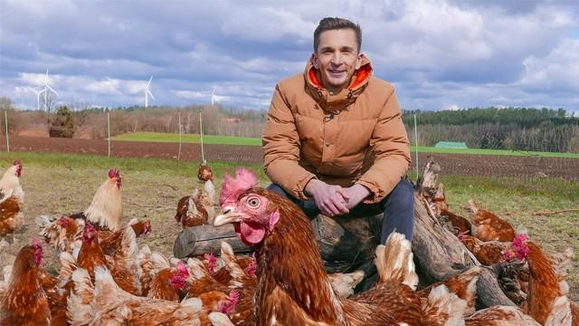 Dummes Huhn!?