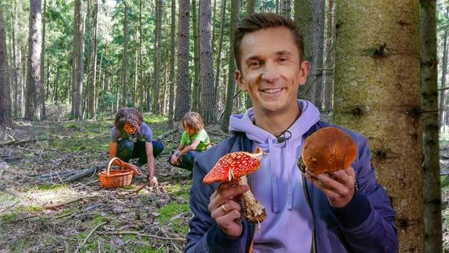Die Macht der Pilze