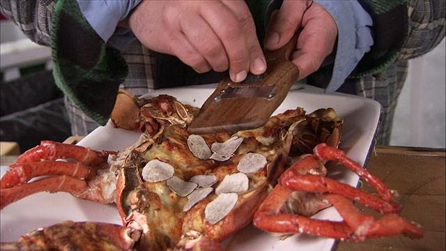 Monster Lobster