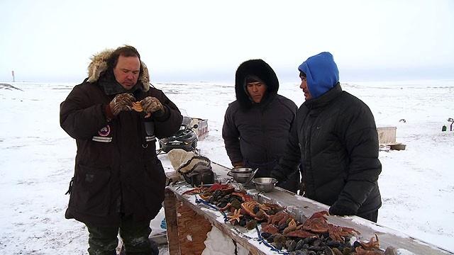 Far North