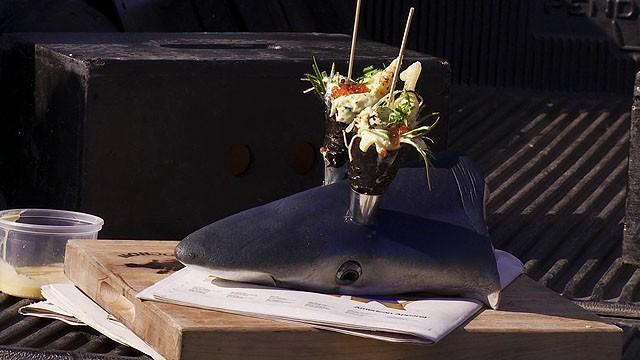 Shark