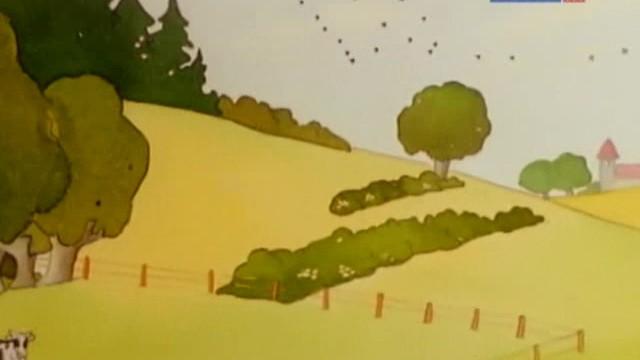 Чем важны птицы