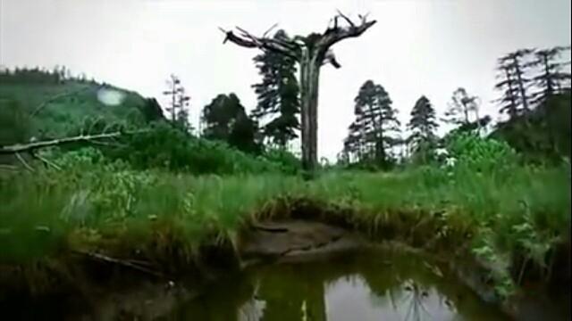 Monsters and Mysteries in Alaska