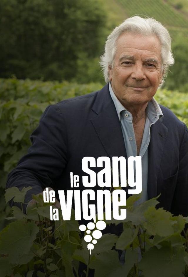 Blood of the Vine