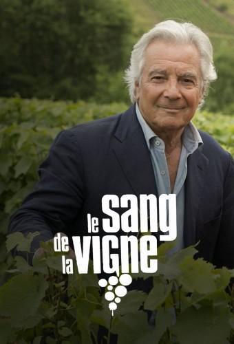 Blood of the Vine