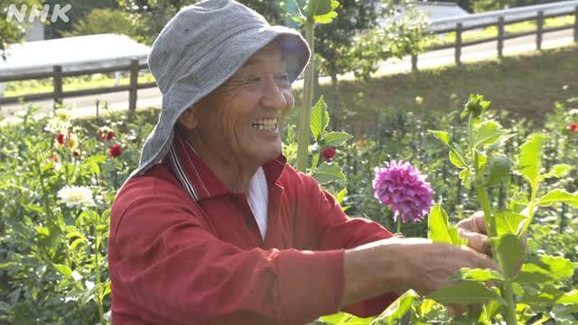 Charmed by a Magical Flower: Washizawa Koji, Plant Breeder