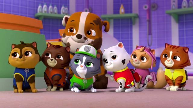 Pups Save the Runaway Kitties