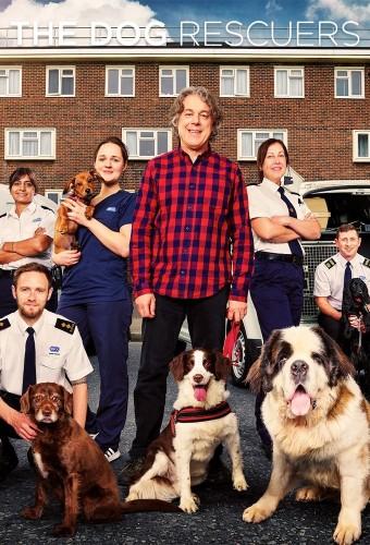 The Dog Rescuers