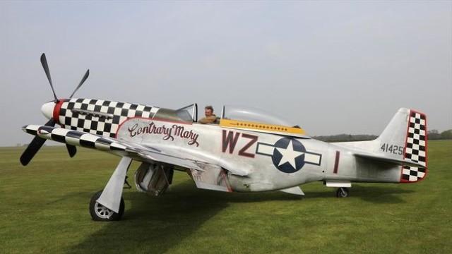 Hitler's War in the Skies
