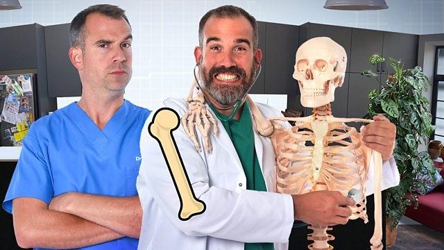 Bones