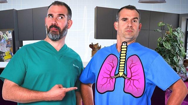 Lungs