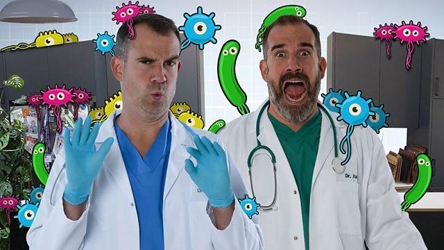 Bacteria