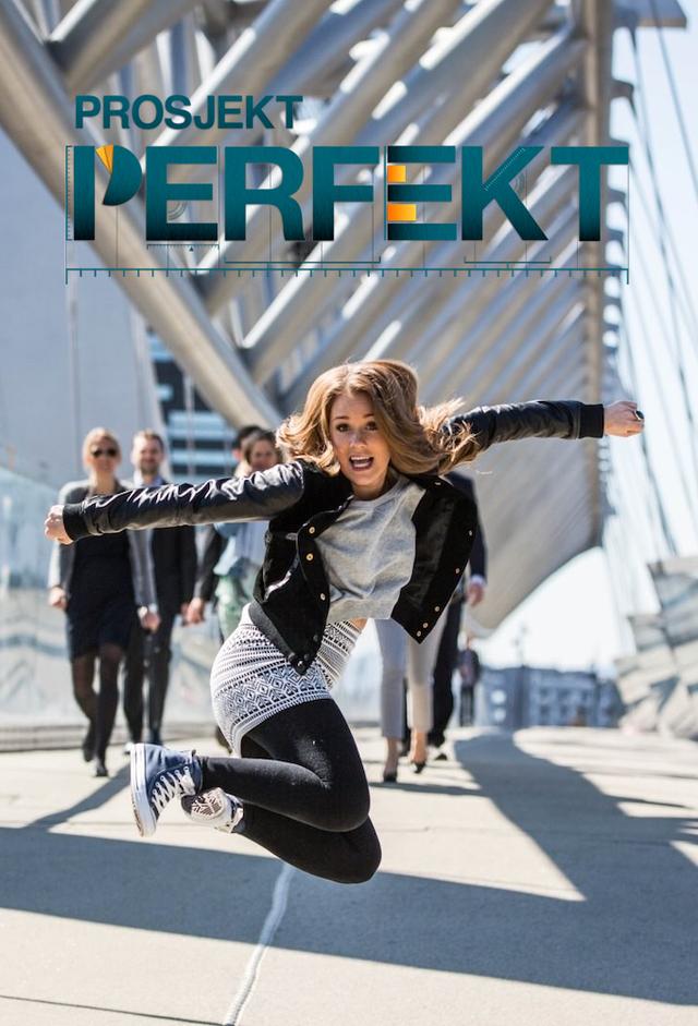 Project Perfect