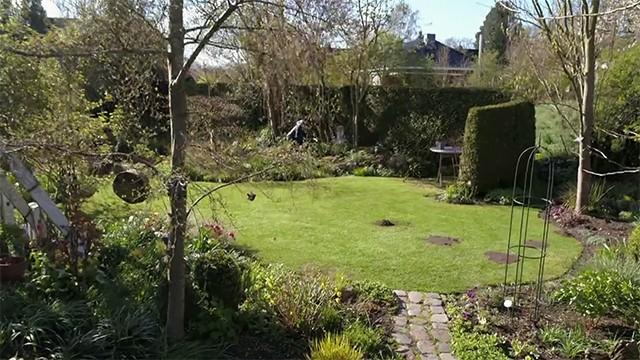 Alarm im Garten – Neues von Maulwurf & Co.