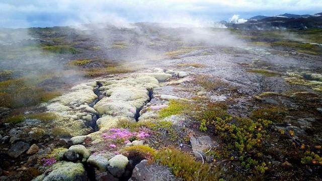 Magisches Island: Leben auf der größten Vulkaninsel der Welt