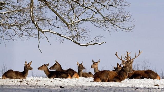 Winterwelten