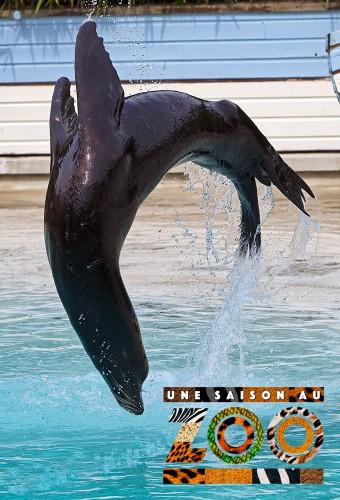 Une saison au zoo