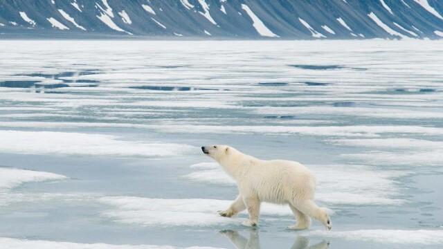 Svalbard
