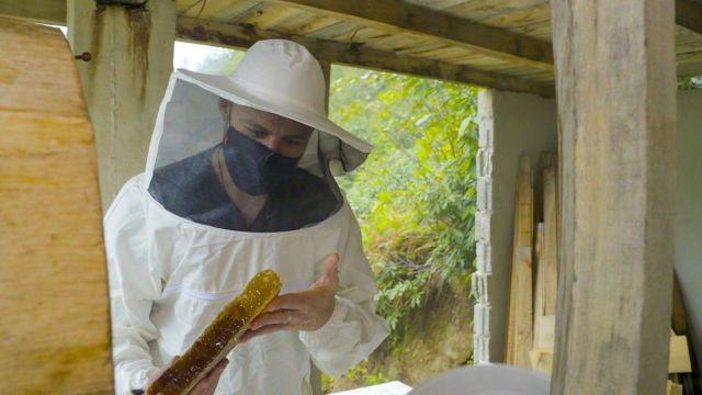 Everest and the Pandemic