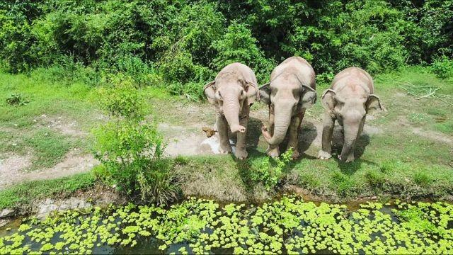 The Best Bits: South East Asia