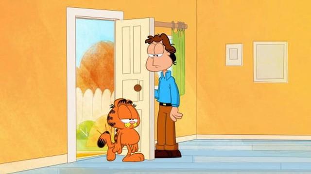 Pet Door