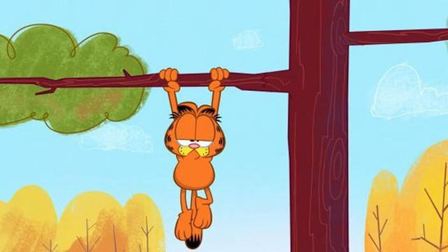 Up a Tree