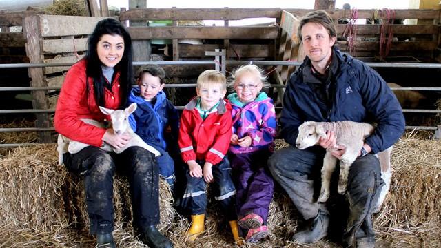 Lambs and Sowing the Seeds