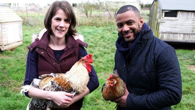 Parsnips and Chickens