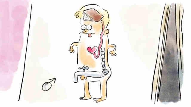 Antike Anatomie