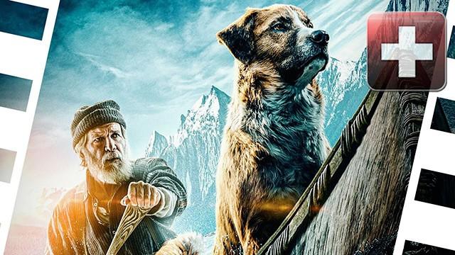 #288 - Ruf der Wildnis, Fantasy Island, Brahms: The Boy 2, Limbo