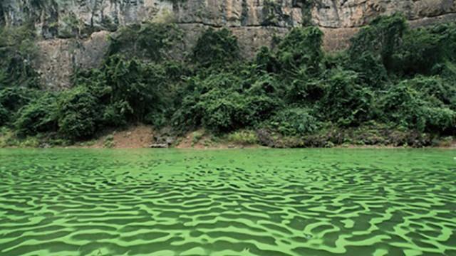The Three Gorges