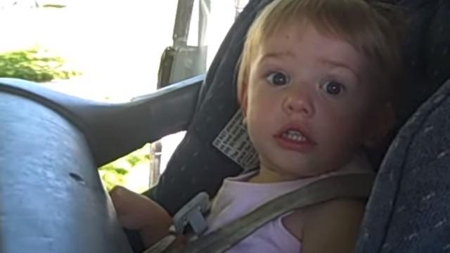shaytards travel south.