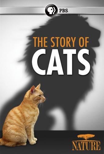 Die geheime Welt unserer Katzen