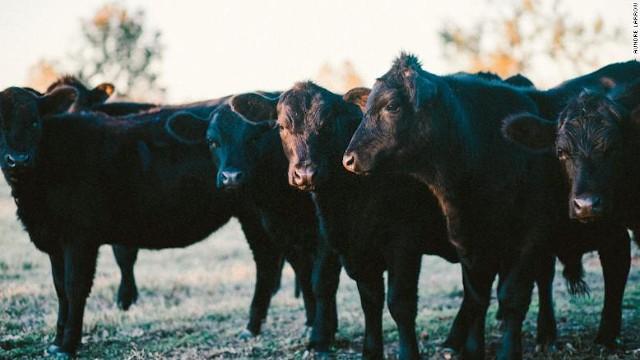 All-American Family Farms