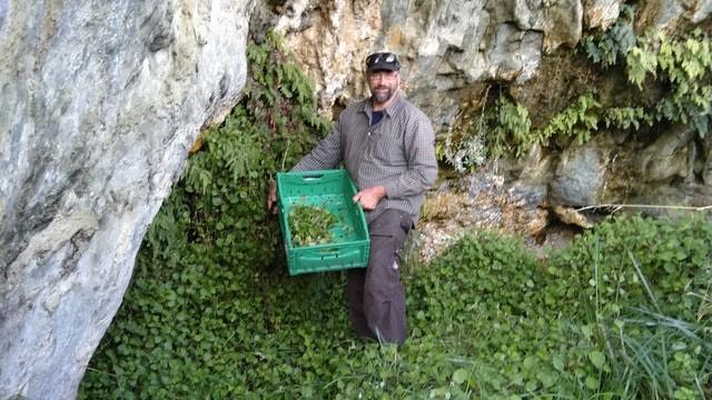 Wild Food