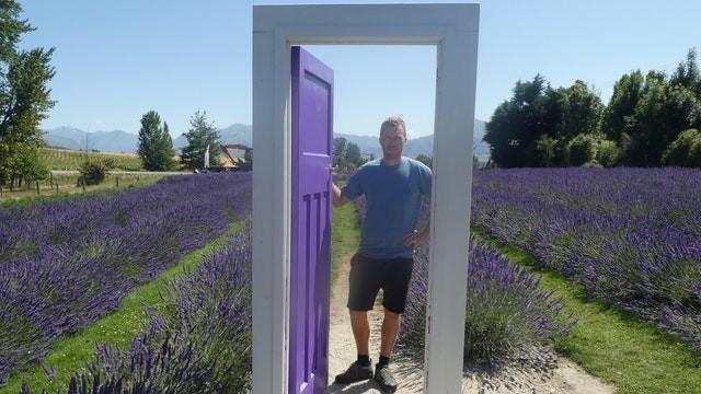 Lavender for Luck