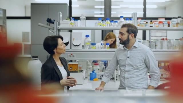 Pedos, caca y microbiota