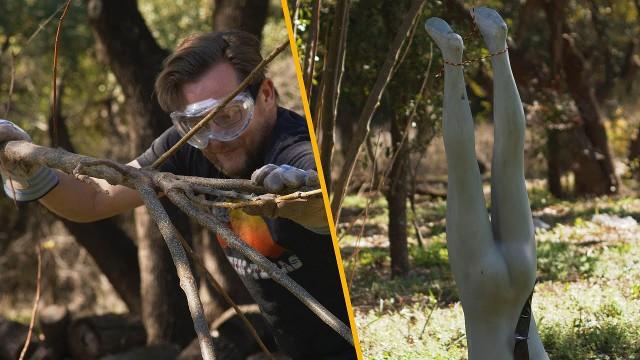 Do Snare Traps Really Work? (Answer: Yes. Very Much Yes.)